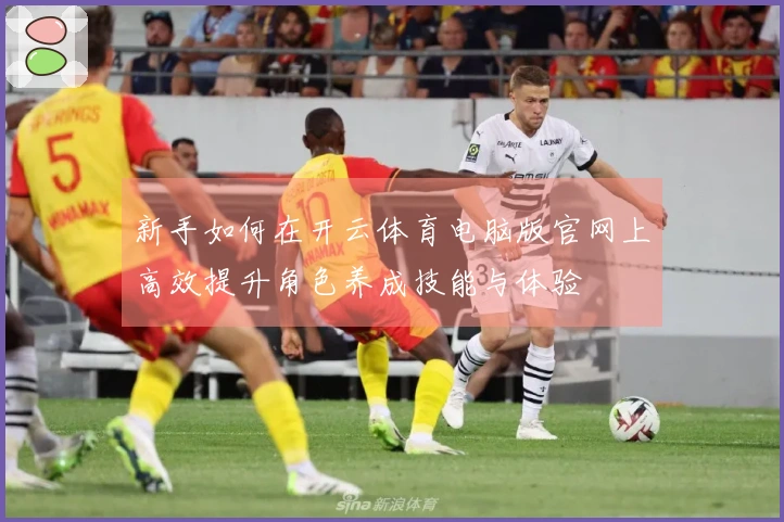 新手如何在开云体育电脑版官网上高效提升角色养成技能与体验