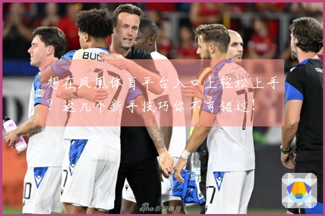 想在凤凰体育平台入口上轻松上手？这几个新手技巧你不可错过！