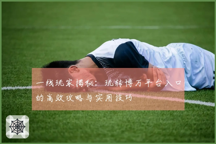 一线玩家揭秘：玩转博万平台入口的高效攻略与实用技巧