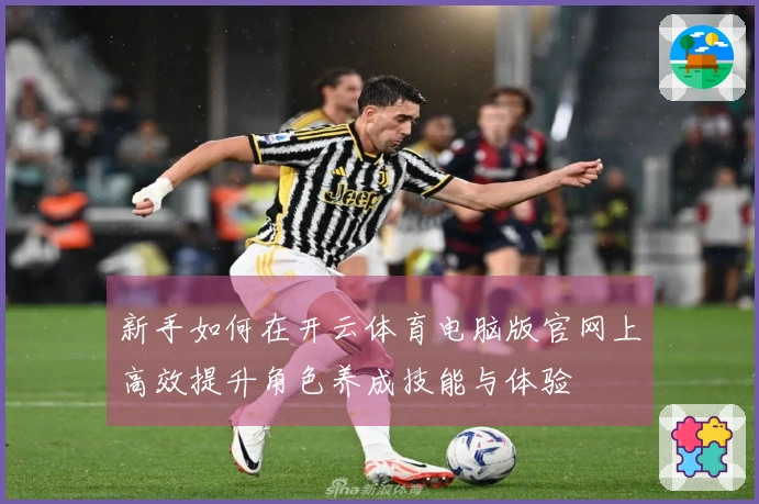 新手如何在开云体育电脑版官网上高效提升角色养成技能与体验