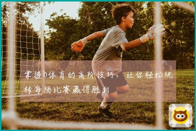 掌握b体育的高阶技巧，让你轻松玩转每场比赛赢得胜利